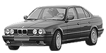 BMW E34 P390C Fault Code